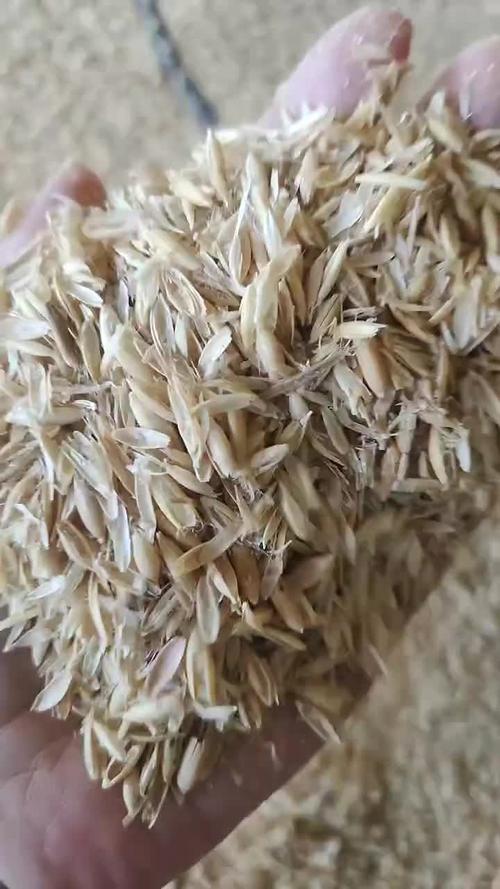 [燕麦壳批发]澳洲燕麦壳,燕麦壳粉,东莞发货,全国发货价格750元/吨 -