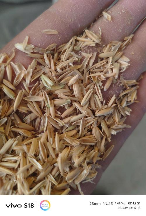 [燕麦壳批发]燕麦壳价格500元/吨 - 惠农网