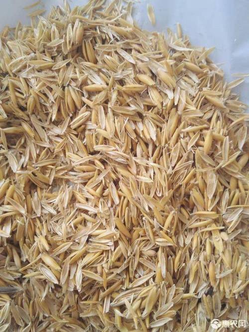 [麦壳批发] 燕麦壳,牛羊好饲料,大量现货价格500元/吨 - 惠农网